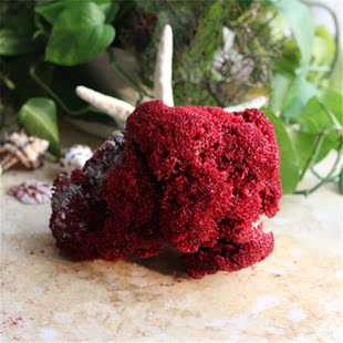 满58元包邮大块管状红珊瑚造景水族箱鱼缸装饰假山奇彩石家居摆件