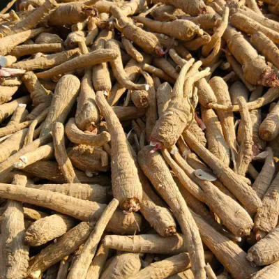 四川白芷个白芷根白芷跟白芷棒白止面膜粉卤料香料鸭脖子500g