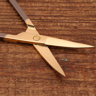包邮 不锈钢圆头剪刀男士鼻毛修剪器女士小美容剪修眉毛 手动