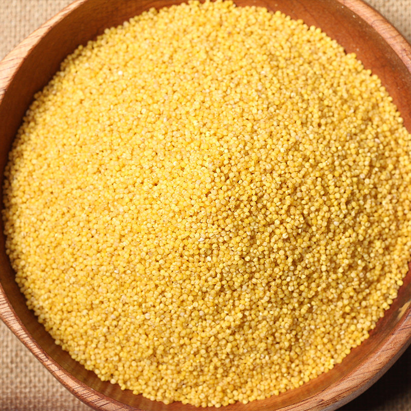 2016年新米 汾州香绿色食品小黄米山西黄小米5斤_爱酷商城(ikoo8.com)