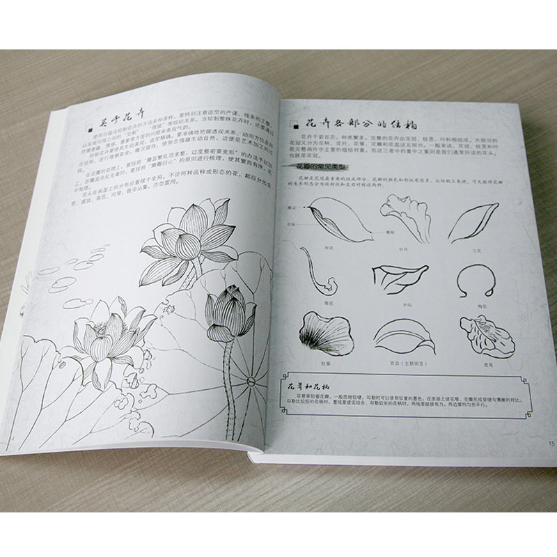 包邮 白描技法从入门到精通 工笔画人物花卉绘制技法大全 白描绘制
