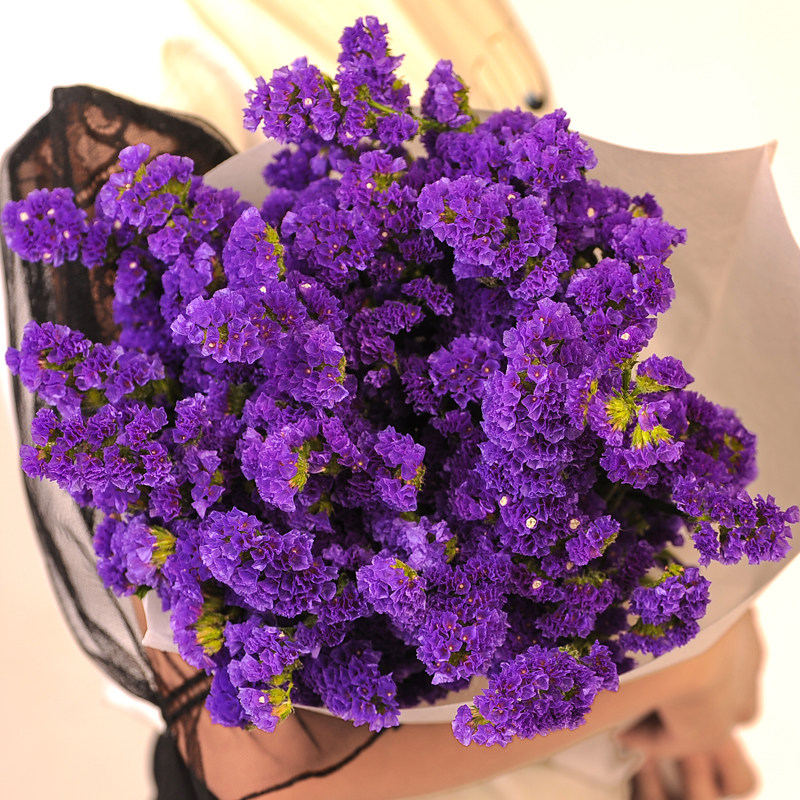 天然勿忘我干花花束批发云南干花真花枝家居摆设diy手工制作礼物