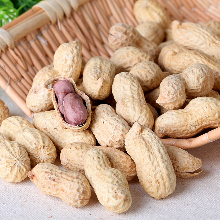 吊炉卤味花生500g熟带壳花生 山东大花生农家自产原味花生 包邮