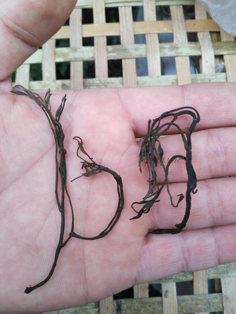 南北干货檀芽农家自制土特产脱水蔬菜干野菜新鲜嫩檀芽干250g包邮