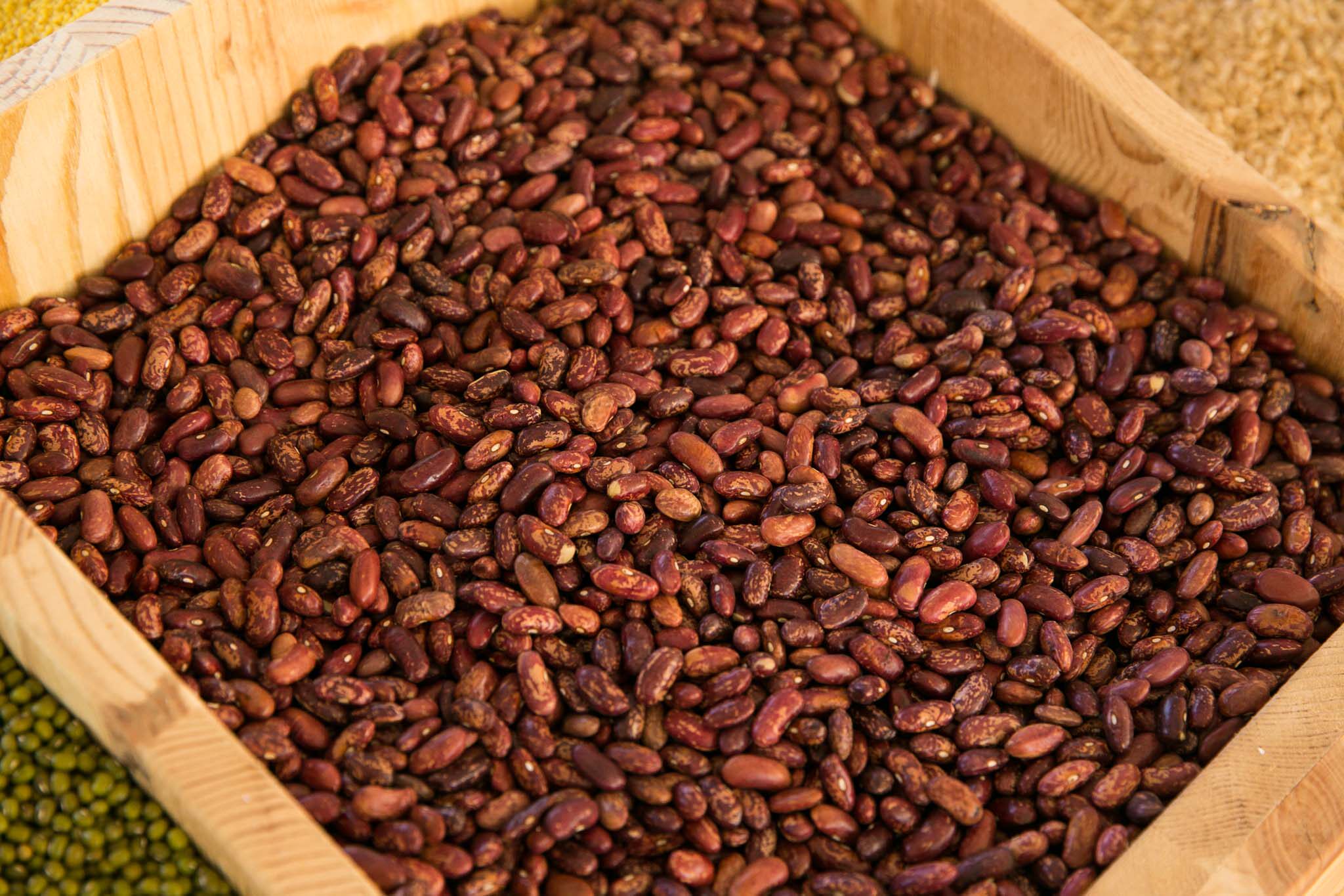 东北农家自产新品红芸豆大红豆腰豆花豆煮粥豆浆专用五谷杂粮粗粮