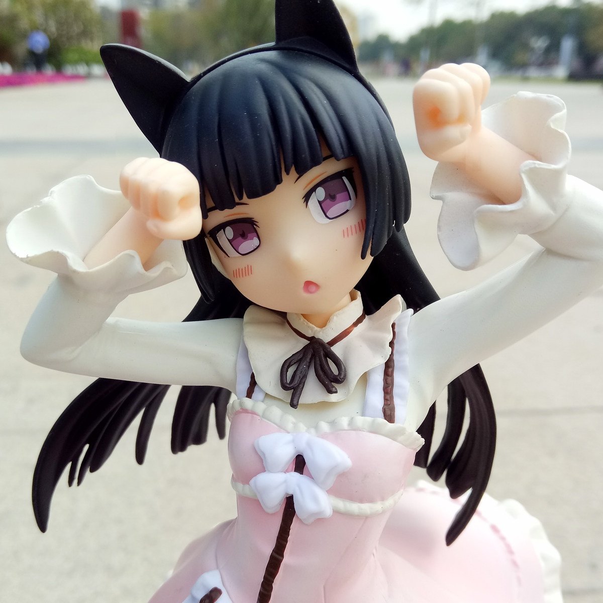 黑猫琉璃,五更琉璃黑猫_大山谷图库