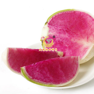 北京杂交满堂红—心里美萝卜—萝卜种子—桶装100克基地专用