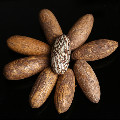 千眼菩提子原料原仔大果霸王果胖果按斤千眼菩提原果高密精品