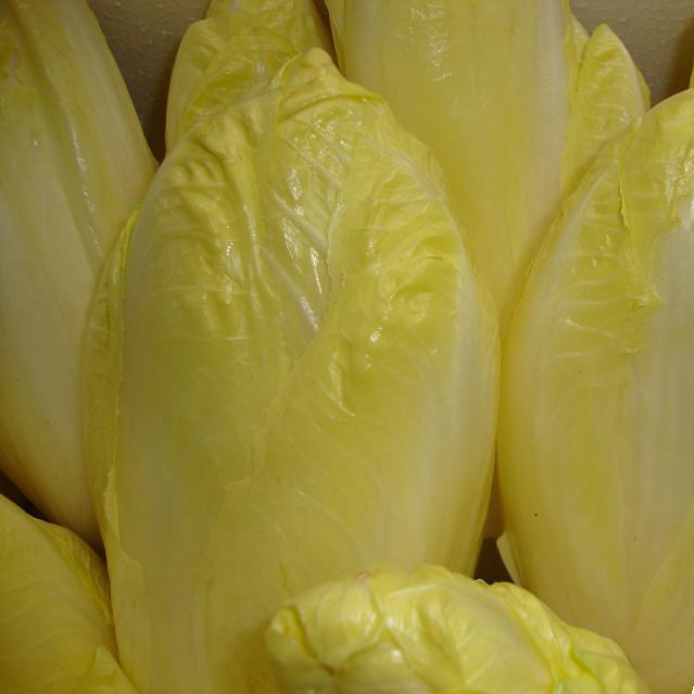 新鲜蔬菜 野菜 玉兰菜 欧洲菊苣 金玉兰 比利时生菜 佳肴500g