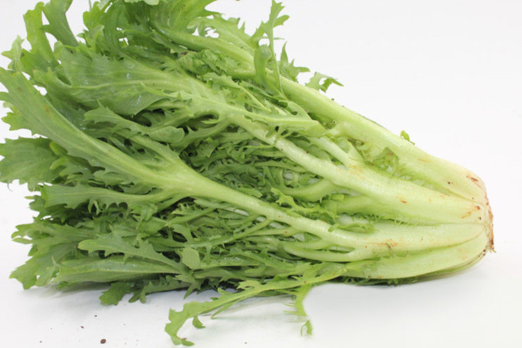 新鲜蔬菜狗牙生菜苦苣生菜苦菊 苦细叶生菜 西餐配料同城配送500g