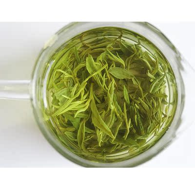 日照绿茶2016新茶春茶特级山东高山有机农家茶叶袋装散装500g雪青