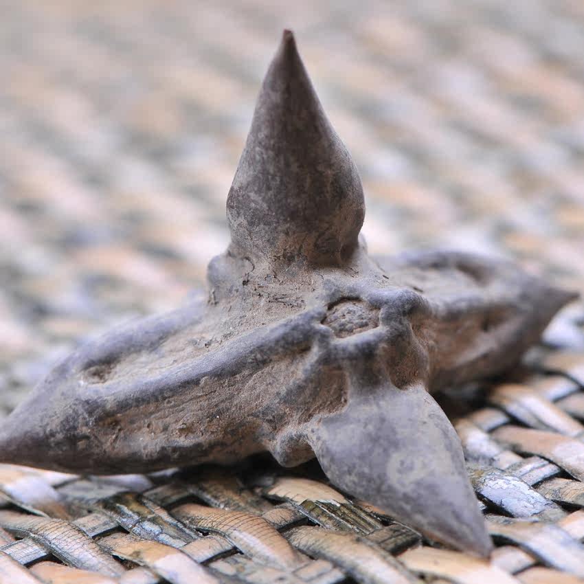 全场满39元包邮 菱角壳 500克 四角菱角壳 干菱壳 四角小棱角