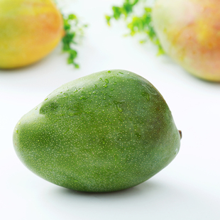 lxsg 青皮澳芒8个装 海南鲜果新鲜澳芒