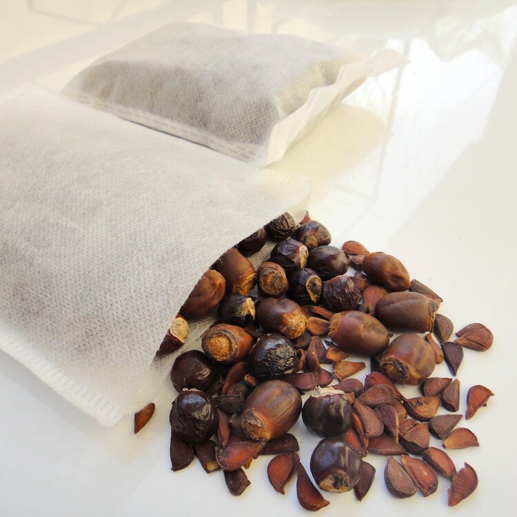 1付装 荔枝核桂圆核木瓜籽龙眼核桂圆子元肉骨荔枝