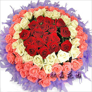 冲皇冠钻特价 100朵玫瑰松江大学城花店漕河泾花店a