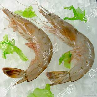 天津 冰鲜 南北海虾 红虾 黑虾 大青虾 虾 活虾 海鲜 同城包邮