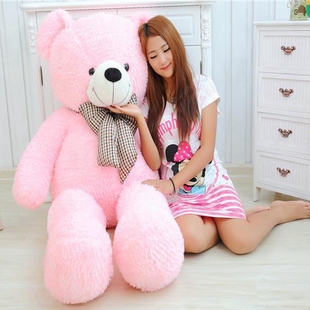 8米生日礼物女孩 小棕熊抱抱熊公仔简爱熊毛绒玩具
