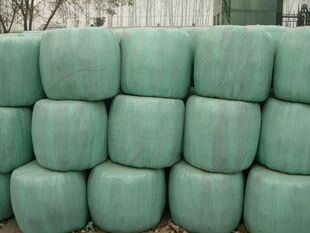 甜高粱秸秆粉碎圆捆裹膜青贮牛羊爱吃育肥饲料发酵面包草气味酸香