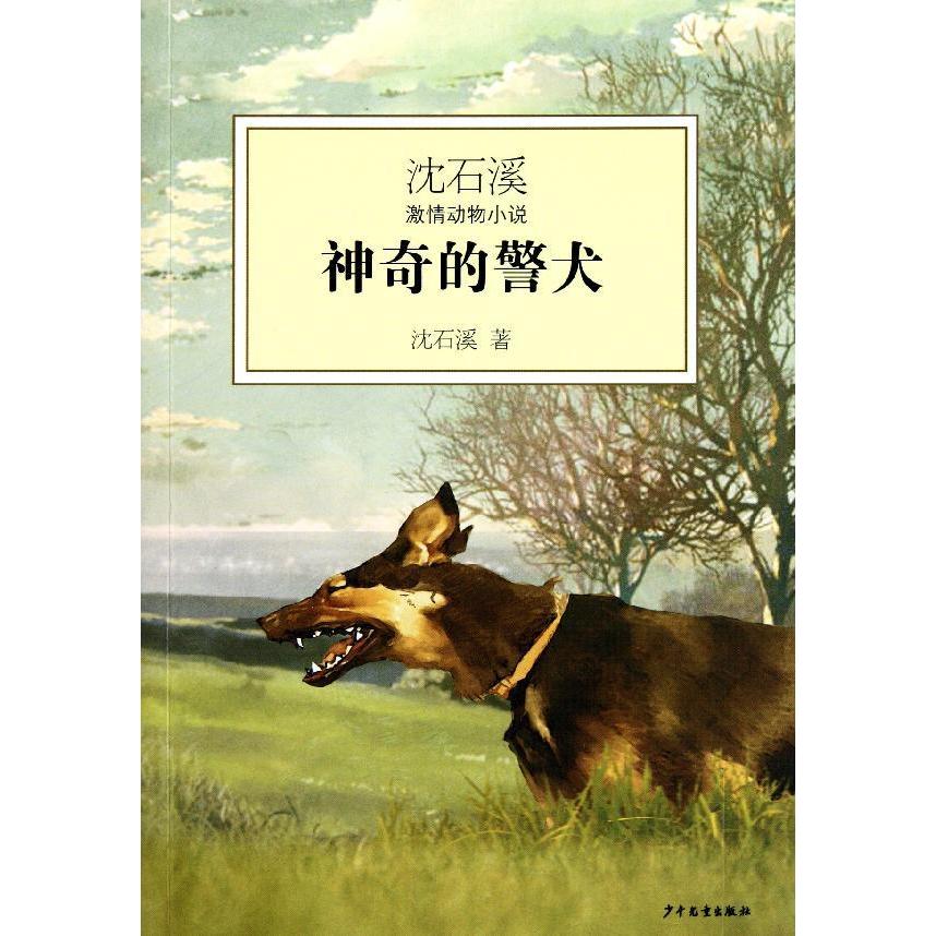 狼国女王 红豺 五彩龙鸟 雪域豹影 中小学生阅读物儿童早教故事课外