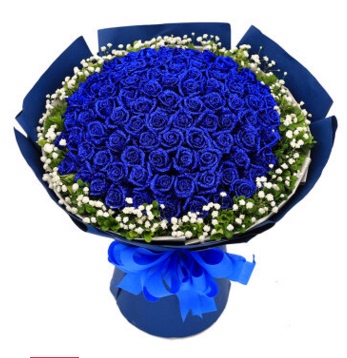 蓝色妖姬玫瑰花 99朵蓝玫瑰 鲜花速递七夕情人节 西安同城鲜花