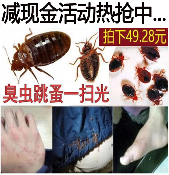 特效臭蟲藥殺蟲劑床上家用專滅跳蚤吸血蟲環保淨潮蟲床蝨子噴霧劑