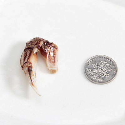 上海渔师傅 醉蟹钳蟹脚 650g 开盖即食螃蟹脚蟹肉江蟹 江浙沪178