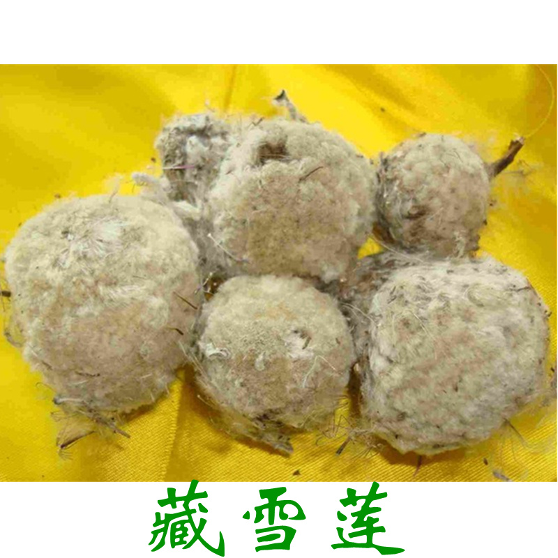 青藏特产精选藏雪莲花藏药 养生泡酒料煲汤雪莲花120g包邮