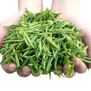 正宗高山信阳毛尖2017新茶自产自销绿茶明前茶特级250g散装农家茶