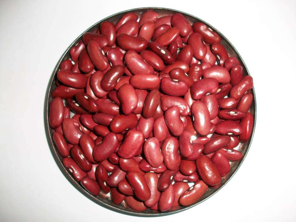 大红豆红芸豆红腰豆农家红芸豆包邮500g五谷杂粮