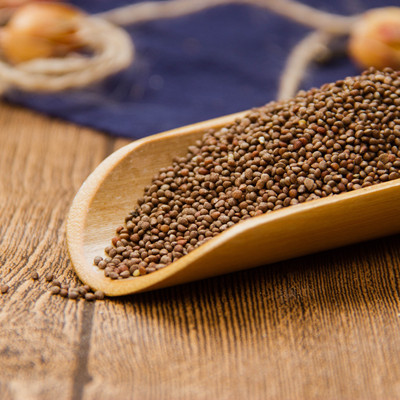 正品 东北苏子500g克 生紫苏籽黑苏子 新货紫苏子籽 黑苏籽野麻子