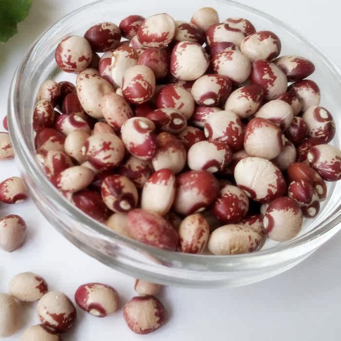 优质农家产花生豆 圆奶花豆 奶花芸豆九花豆 雀蛋豆 500g花豆包邮