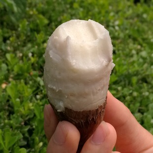 红薯 山东农家毛芋头 宝宝辅食红薯地瓜土特产 新鲜芋头