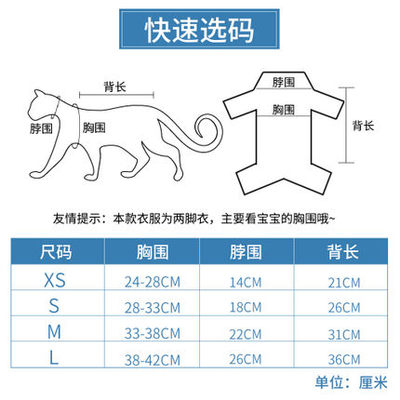 宠物猫衣服夏天猫咪衣服夏装薄款幼猫小猫的衣服猫猫服装小型背心