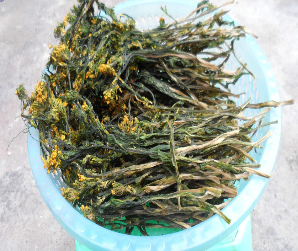 连州特产农家自晒菜心干 鲜嫩无沙迟菜心干 脱水蔬菜干 250g