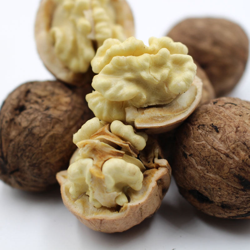 现货新鲜湿核桃 去青皮鲜核桃秦岭深山核桃孕妇核桃包邮