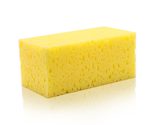 海绵 黄 方形珊瑚海绵