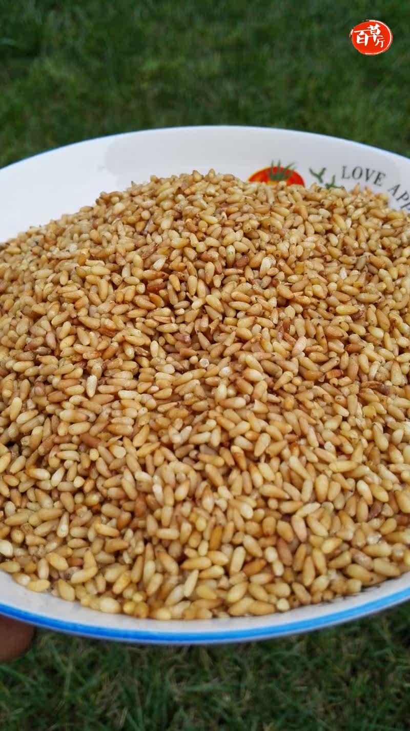 百草厅中药材柏子仁 优质柏子仁500克包邮