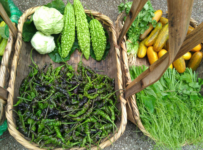 云南扭扭辣椒螺丝辣椒子 紫色绿色青椒新鲜现摘香辣椒 独特小黑辣