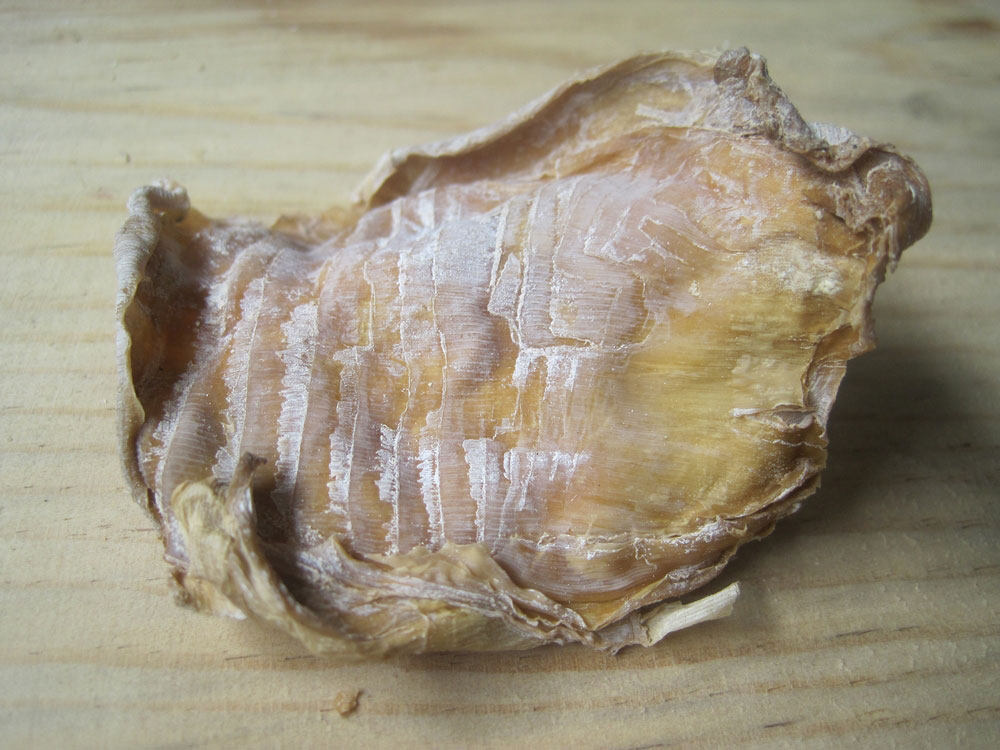 2017精选农家自晒笋衣 比泡椒笋干丝菜软嫩 新鲜特价干货笋皮250g