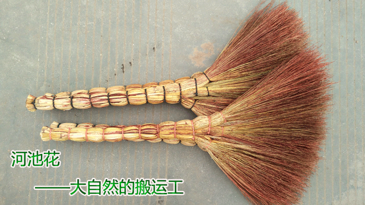 农家天然高粱穗苗扫帚高粱扫把除尘清扫手工扫帚笤帚环卫笤帚
