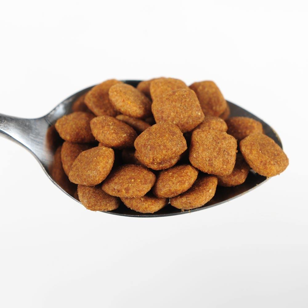 蓝氏宠物狗粮 鸡肉燕麦全犬期犬主粮1磅 泰迪宠物粮食去泪痕犬粮