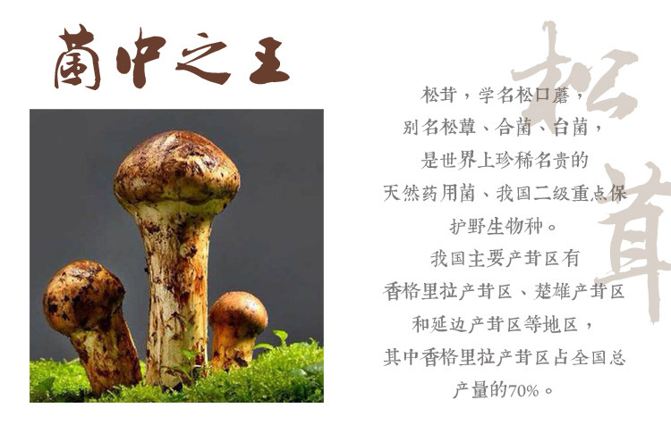 香格里拉特产树果,_大山谷图库