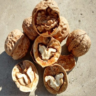 宽城人15年新货心形野生天然农家特产原味山核桃500g孕妇零食坚果