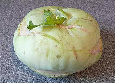 新鲜菜果 芥兰头 精选椰菜果 2500g