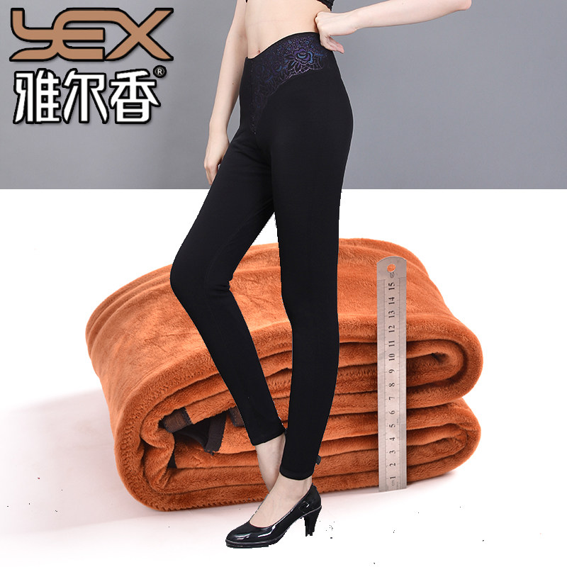 秋冬款雅尔香保暖裤女加绒加厚网纱打底裤无痕高腰护腰棉裤8156