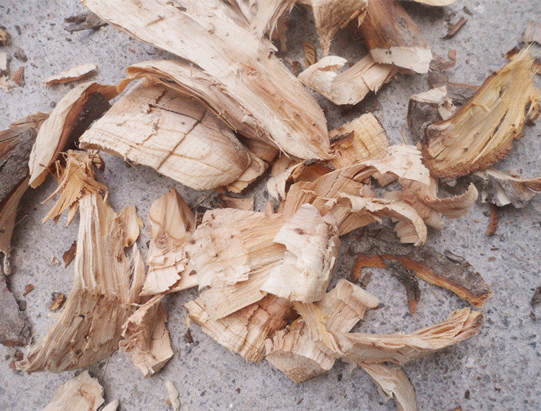 红豆杉树根切片 野生南方红豆杉树根切片 泡酒材料 红豆杉泡酒