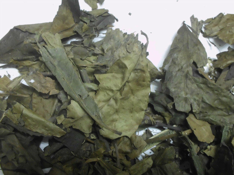 九节莲茶 野生 九节茶 草珊瑚 500g 3斤包邮