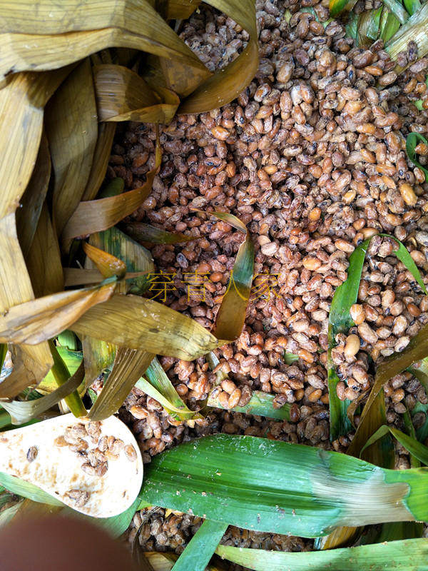 贵州毕节特产新鲜豆豉粑豆豉颗 纳雍拔丝湿豆豉颗 农家豆豉叶自制