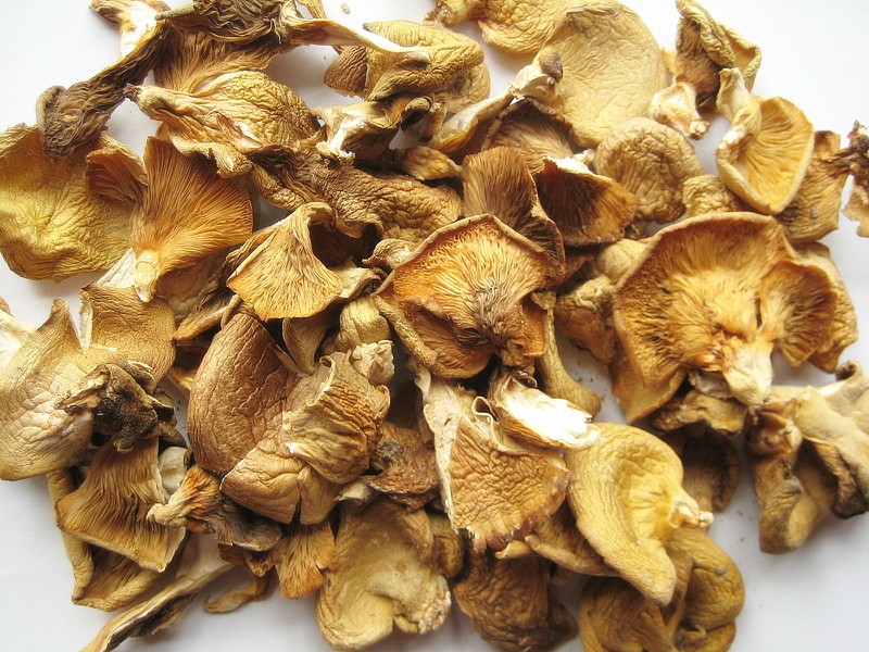 长白山野生元蘑菇 冻蘑 东北特产干货 自家采摘 250g 包邮