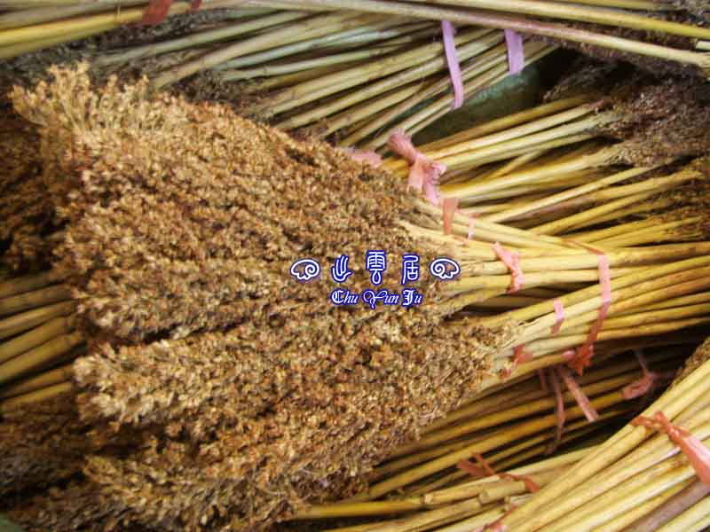 高粱杆与芦苇漂对比,南荻芦苇图片,高粱杆浮漂的优点(第3页)_大山谷图库